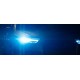 Ксеноновая лампа PHILIPS 85122WHV2S1 D2S 85V 35W P32d-2 WhiteVision gen2 5000K